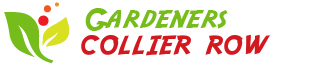 Gardeners Collier Row