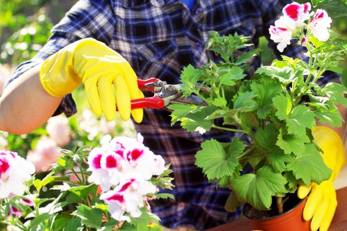 Landscape gardening in Collier Row with a well-designed residential garden