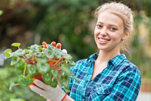 Professional lawn care service for Collier Row gardens