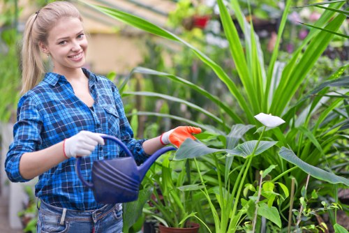 Gardening services in Collier Row for tidy residential gardens