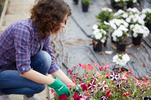 Gardeners Collier Row working on a tidy front garden