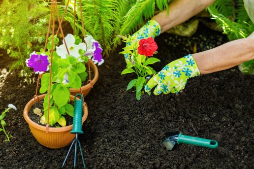 Garden landscaping ideas for a Collier Row home