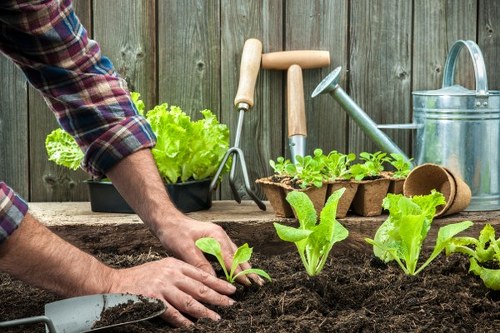 Gardeners Collier Row terms and conditions introduction image