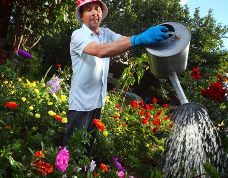 Lawn mowing service keeping a Collier Row garden neat