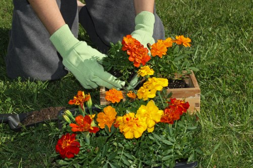 Final stage of a gardeners complaint handling process