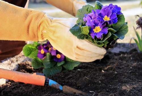 Professional gardeners in Collier Row following safety procedures