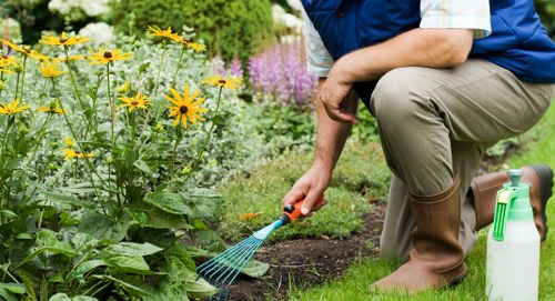 Professional garden maintenance for a Collier Row property