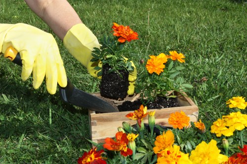 Seasonal lawn maintenance and grass treatment in Collier Row