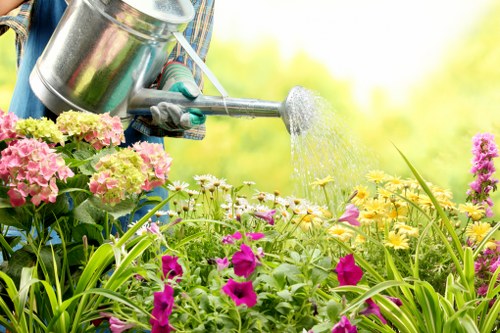 Risk-aware gardener carrying out maintenance in Collier Row