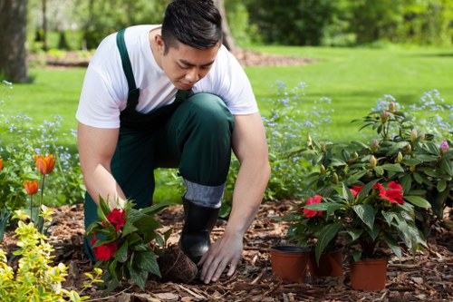 Team reviewing garden hazards before starting work