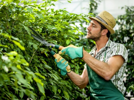 Low-carbon van used for sustainable garden services