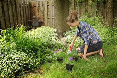 Free quote discussion for a garden tidy-up near busy Collier Row roads