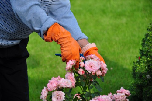 Image depicting ethical supply chain checks for Gardeners Collier Row