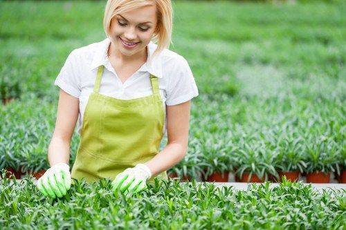 Seasonal planting and garden design in Collier Row