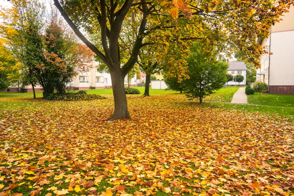 A spacious urban park during autumn with a large central tree shedding vibrant yellow and orange leaves, which blanket the ground in a colorful carpet. Smaller trees and shrubs with changing foliage s