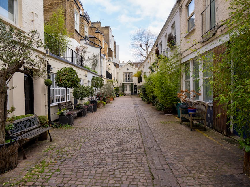 A quiet residential street with a row of white and brick terraced houses featuring small front gardens and potted plants along the pavement. The gardens contain various shrubs, small trees, and flower